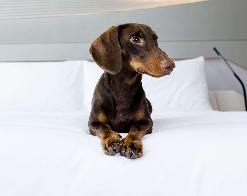 Melia Hotel Bilbao